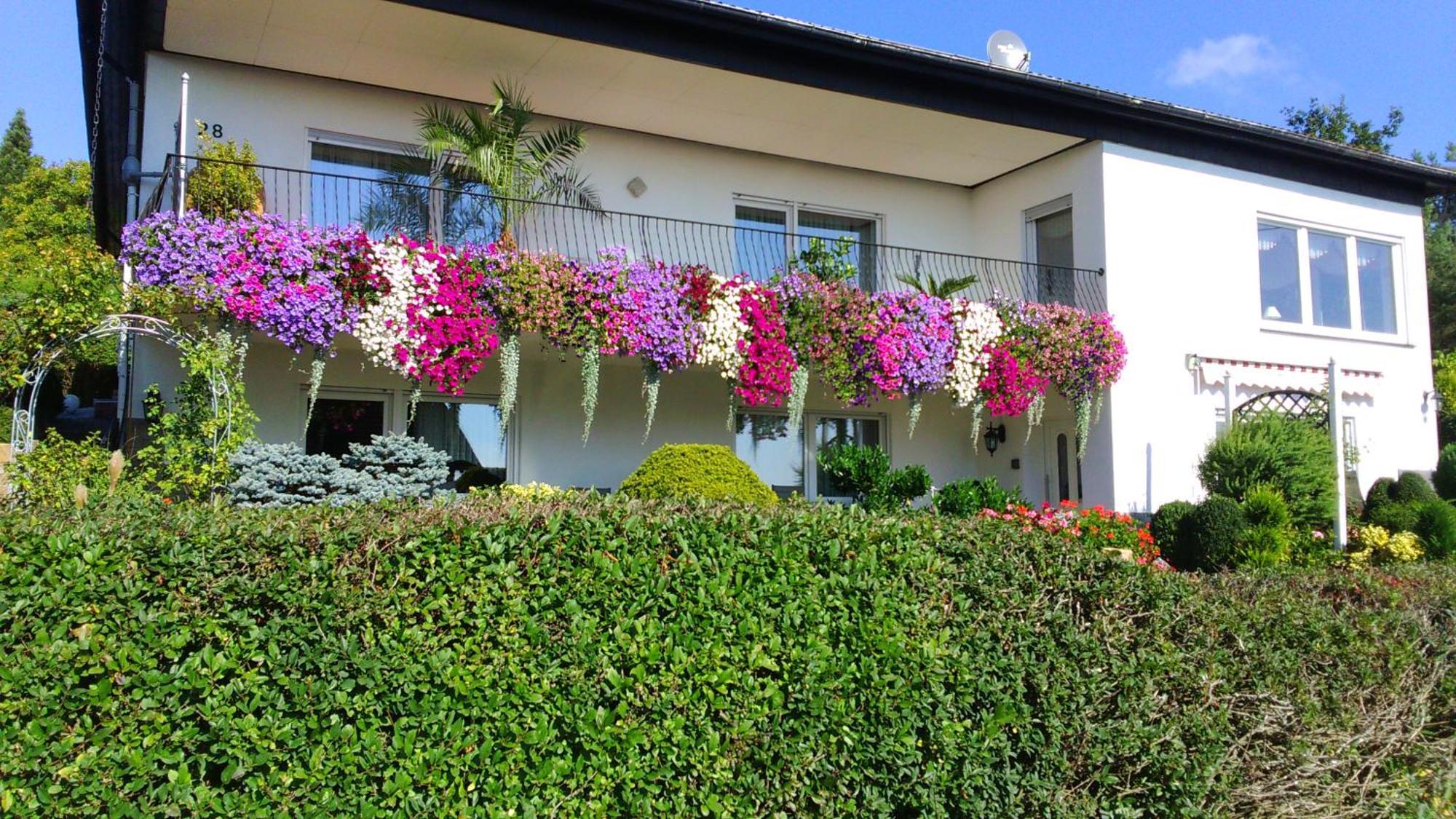 Haus Alexandra Lägenhet Schoneberg  Exteriör bild